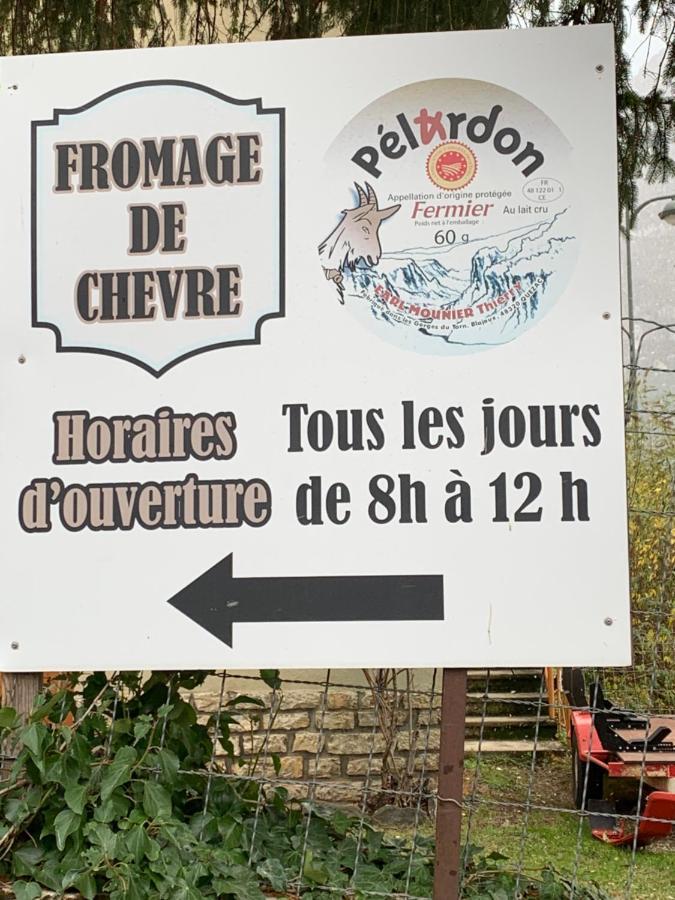 Quezac  La Voutee 5 Epis Avec Bain Finlandais Prive Au Manoir Du Charme Gorges Du Tarn Bed & Breakfast エクステリア 写真