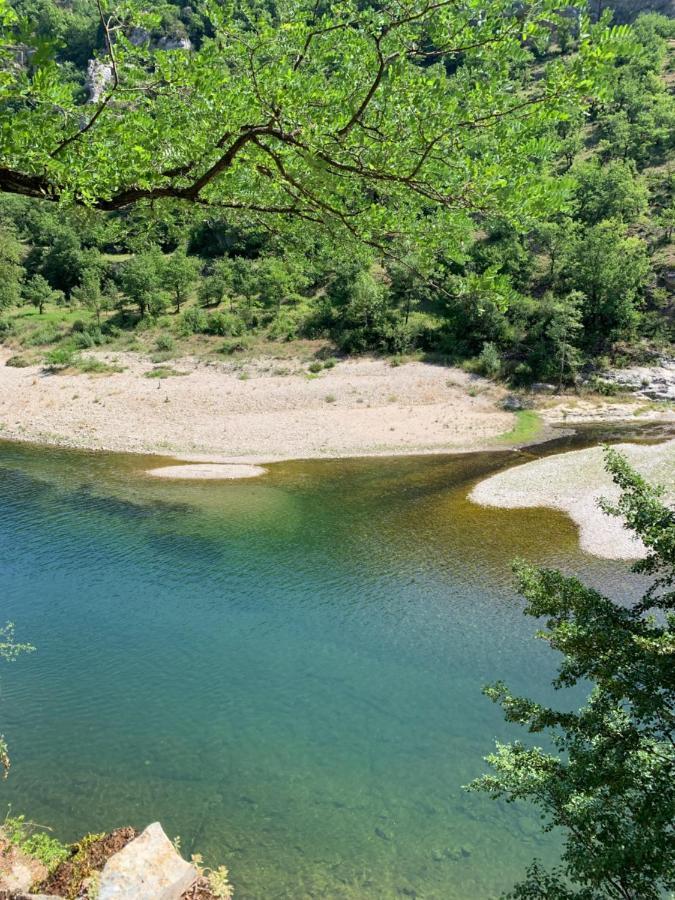 Quezac  La Voutee 5 Epis Avec Bain Finlandais Prive Au Manoir Du Charme Gorges Du Tarn Bed & Breakfast エクステリア 写真
