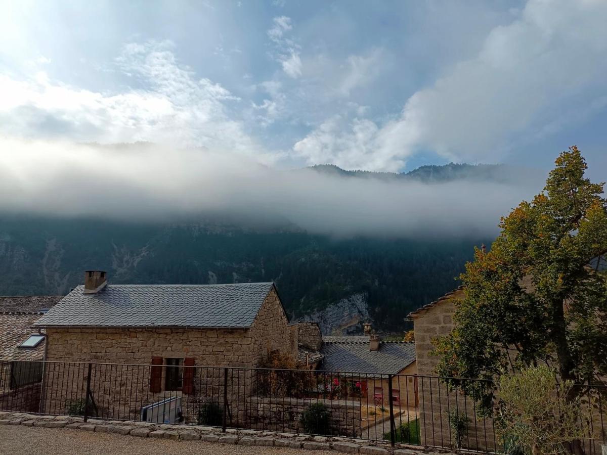 Quezac  La Voutee 5 Epis Avec Bain Finlandais Prive Au Manoir Du Charme Gorges Du Tarn Bed & Breakfast エクステリア 写真