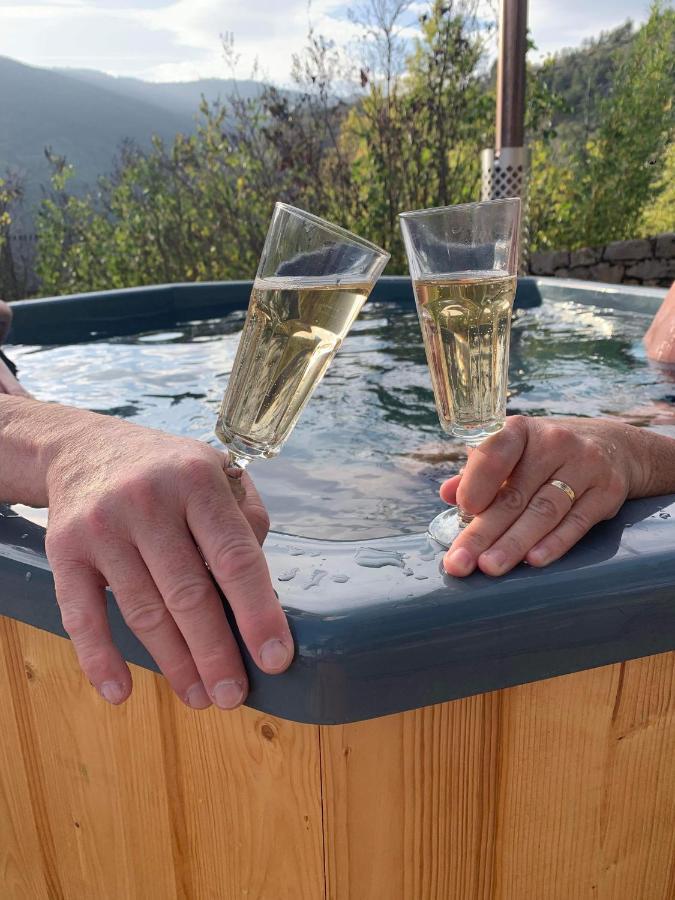 Quezac  La Voutee 5 Epis Avec Bain Finlandais Prive Au Manoir Du Charme Gorges Du Tarn Bed & Breakfast エクステリア 写真