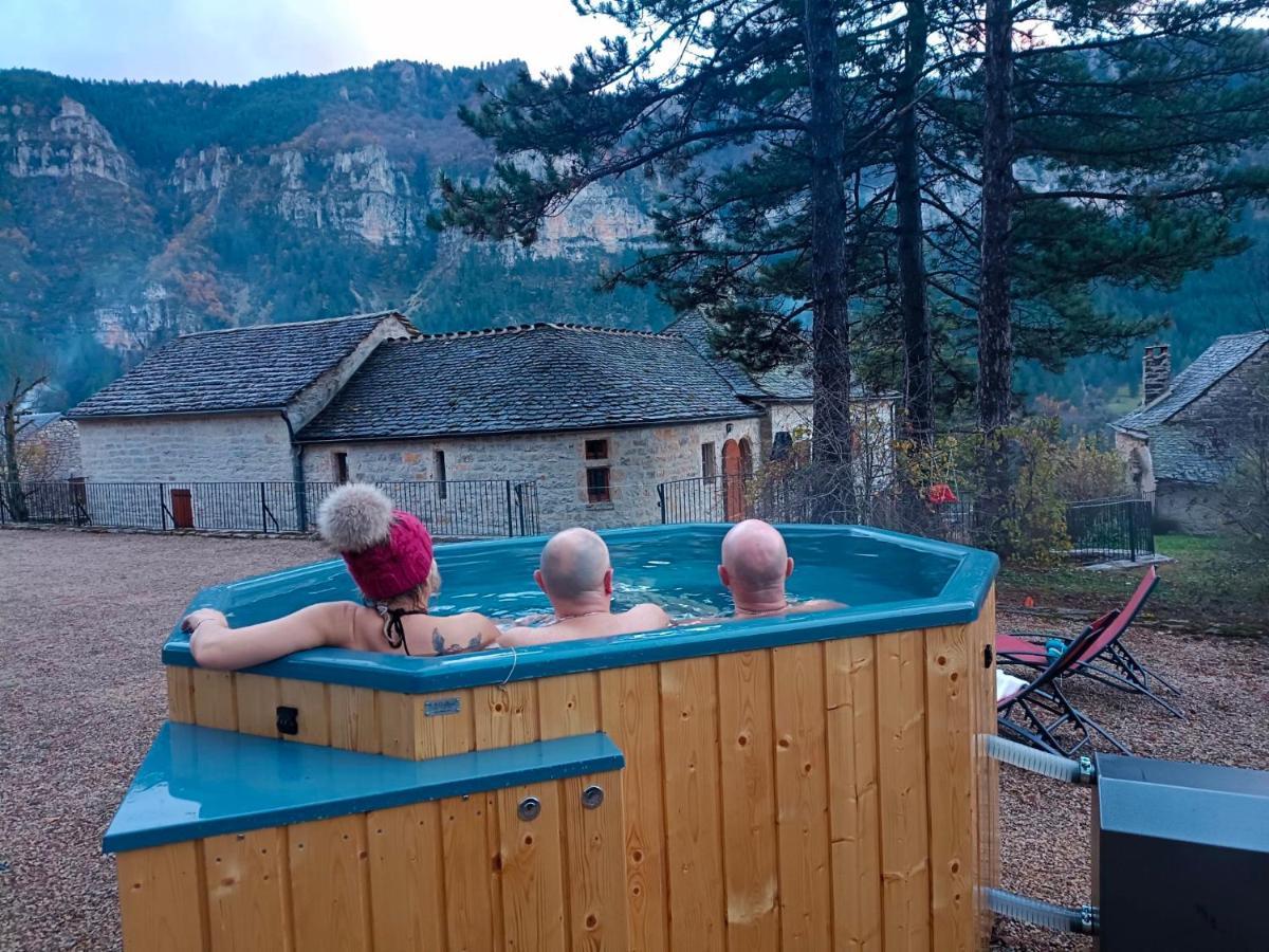 Quezac  La Voutee 5 Epis Avec Bain Finlandais Prive Au Manoir Du Charme Gorges Du Tarn Bed & Breakfast エクステリア 写真